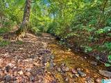 40+/- Acres County Road 457 - Photo 8