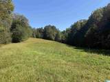 40+/- Acres County Road 457 - Photo 9