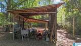 178 County Road 1559 - Photo 9