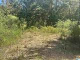 Lot 4 Mill Creek Road - Photo 1