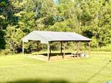 8119 Highway 431 - Photo 32