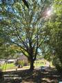 1529 Foster Avenue - Photo 4