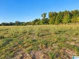 0 County Road 319 - Photo 2