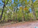 Lot 4 Hickory Hollow - Photo 3