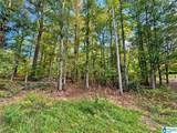 Lot 4 Hickory Hollow - Photo 4