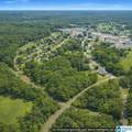6 Acres Bill Robinson Parkway - Photo 7