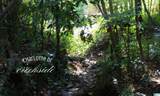 1900 Charlotte Drive - Photo 7
