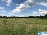 0 Sanie Road - Photo 14