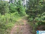 0 Sanie Road - Photo 15