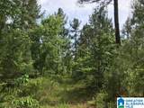 0 Sanie Road - Photo 16
