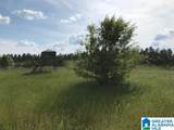 0 Sanie Road - Photo 18