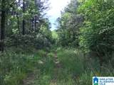 0 Sanie Road - Photo 19