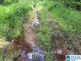 0 Sanie Road - Photo 20