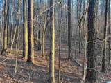 00007 Springhollow Road - Photo 13