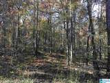 00007 Springhollow Road - Photo 9