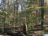 0009 Springhollow Road - Photo 14