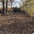 1017 Grand Oaks Circle - Photo 5