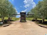 270 Lake Pointe Drive - Photo 14