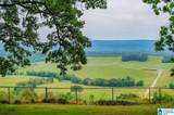 487 County Road 463 - Photo 61