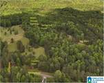 2488 Louina Road - Photo 81