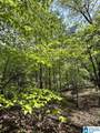 Lots 123 Red Cedar Drive - Photo 4