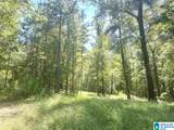 Lot3B Cabin Road - Photo 10