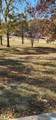 352 Kudzu Road - Photo 42