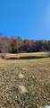 352 Kudzu Road - Photo 48