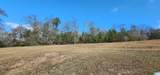 352 Kudzu Road - Photo 49
