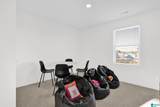 23141 Downing Park Circle - Photo 16