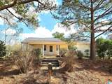 591 County Road 235 - Photo 6