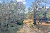 591 County Road 235 - Photo 66
