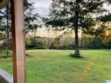 401 Buckeye Trail - Photo 57