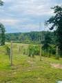 401 Buckeye Trail - Photo 60