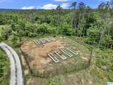 401 Buckeye Trail - Photo 81
