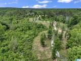 401 Buckeye Trail - Photo 85