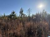 32 +/- Acres County Road 637 - Photo 4