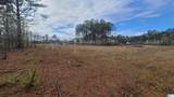 0 Chancellors Ferry Loop - Photo 39