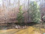 Lots 201, 202, Big Y Cove Loop - Photo 10