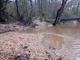 310 Fredric Ferry Road - Photo 2