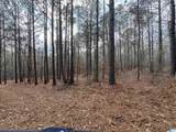 10 County Road 331 - Photo 23