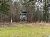 10 County Road 331 - Photo 26