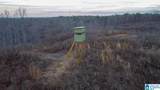 1925 Coaling Road - Photo 10