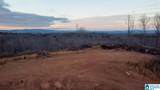 1925 Coaling Road - Photo 11