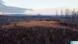 1925 Coaling Road - Photo 12