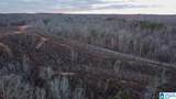 1925 Coaling Road - Photo 13