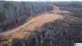 1925 Coaling Road - Photo 14