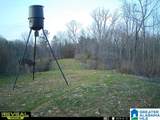 1925 Coaling Road - Photo 17