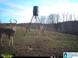 1925 Coaling Road - Photo 21