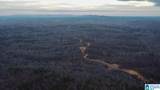 1925 Coaling Road - Photo 3